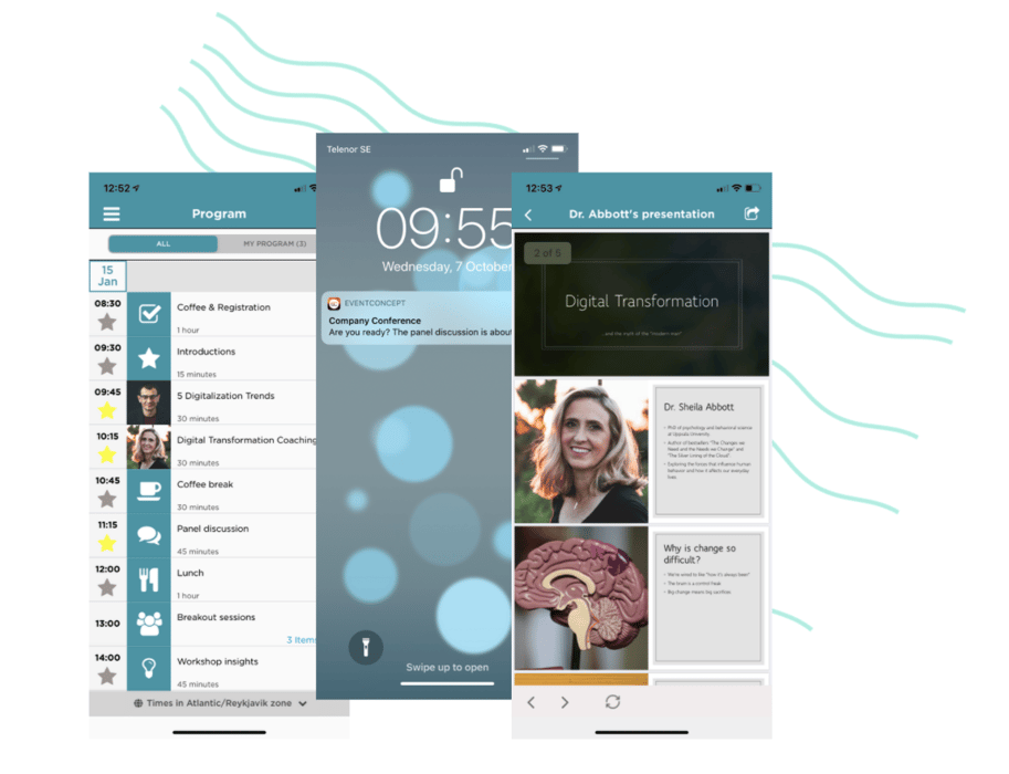 Screenshot 2021-01-12 at 11.46.30