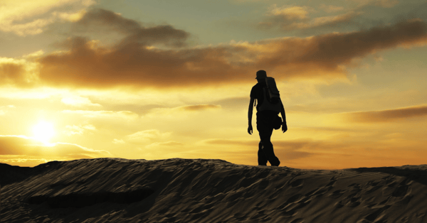 Traveller walks the road.
